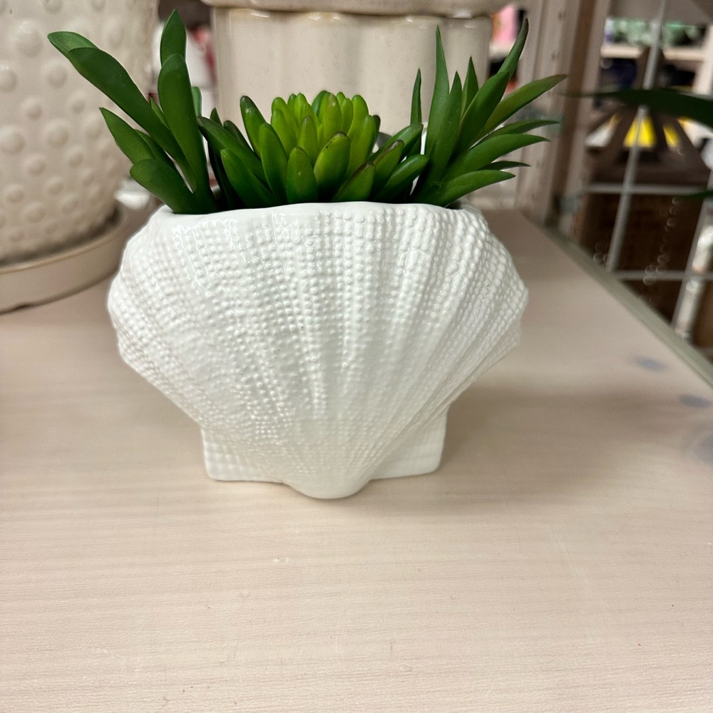 White Seashell Planter with Faux Succulents